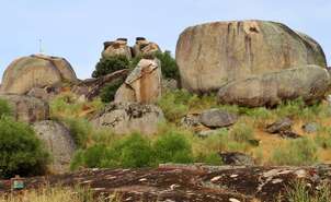 Storks in Los Barruecos