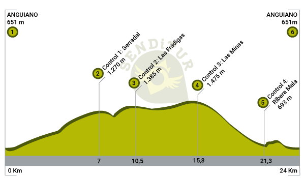 Perfil de la 19ª Marcha por los Montes de Anguiano