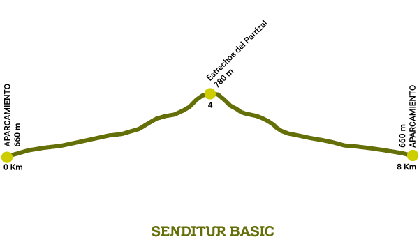 Profile of the Parrizal of Beceite Route