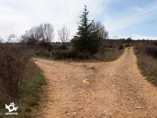 The route follows the path on the left