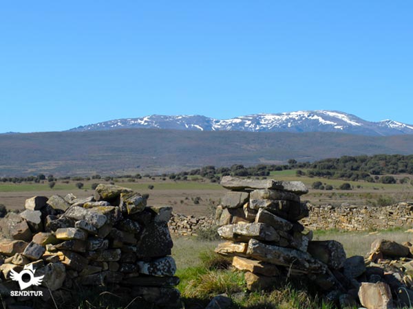 Montes de León