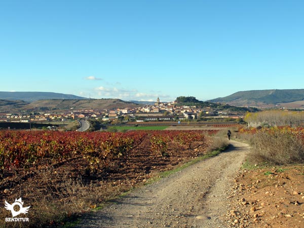 We arrived in Navarrete between vineyards and potteries.