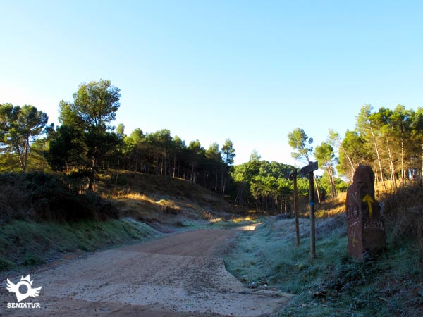Pinar at the exit of Nájera 