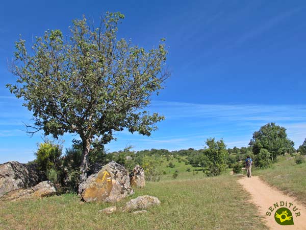 El recorrido de la Casa de la Ciudad no tiene perdida