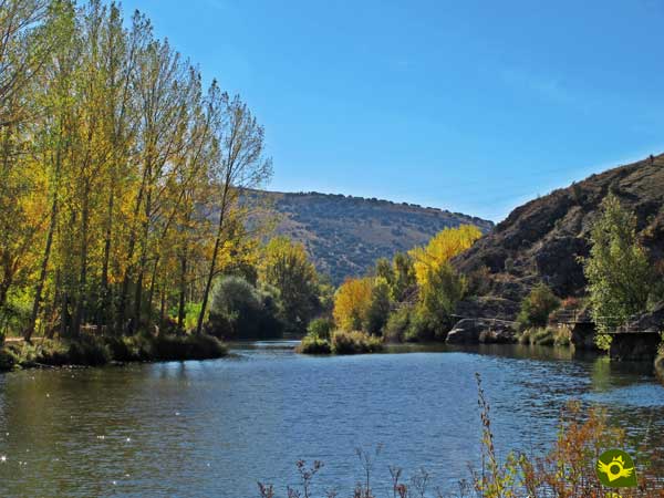 Trail of the Duero from Garray to Soria