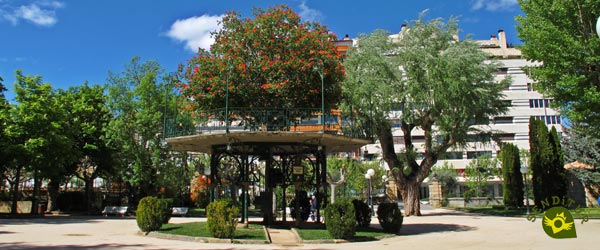 The Music Tree in Soria