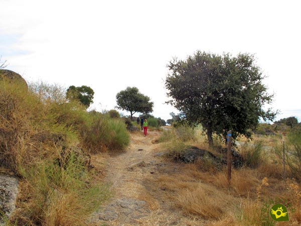 The blue marks show us the way forward The blue marks show us the way forward