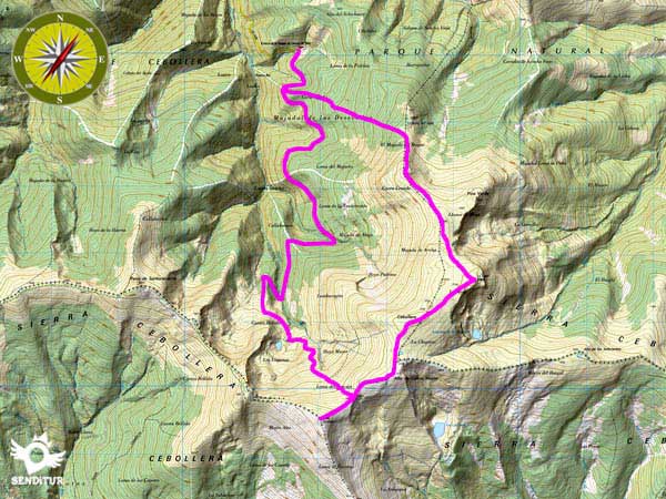 Mapa topográfico con el recorrido Subida al Cebollera desde Lomos de Orio
