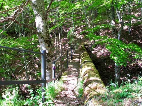 The trail crosses several bridges