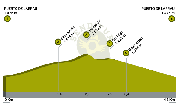 Profile of the route Mount Ori from the col of Larrau