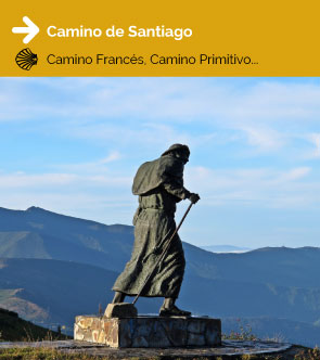 Ir a Camino de Santiago organizado